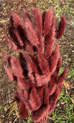 Bunny Tails/Pussy Tails - Dark Chestnut
