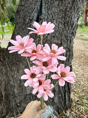 Handmade Daisies - Soft Pink
