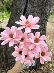Handmade Daisies - Soft Pink