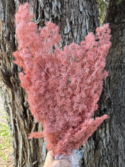 Ming Fern - Pink Terracotta