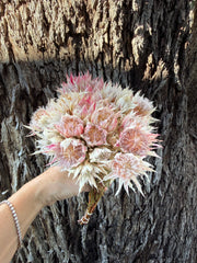 Blushing Bride  - dried