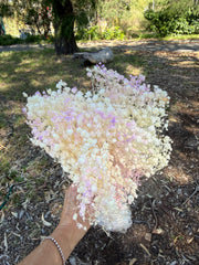 Baby’s Breath - Gypsophila Preserved - Ivory White with Lilac sprinkle