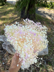 Baby’s Breath - Gypsophila Preserved - Ivory White with Lilac sprinkle