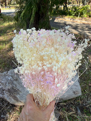 Baby’s Breath - Gypsophila Preserved - Ivory White with Lilac sprinkle