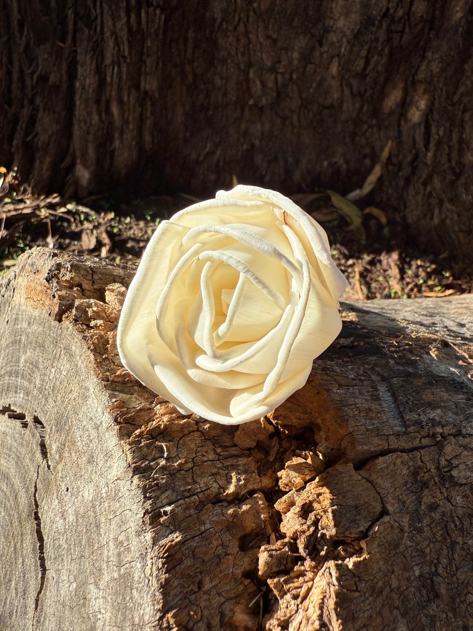 Handmade Flowers - Sola Flower - Rose Diffuser - 7-8cm