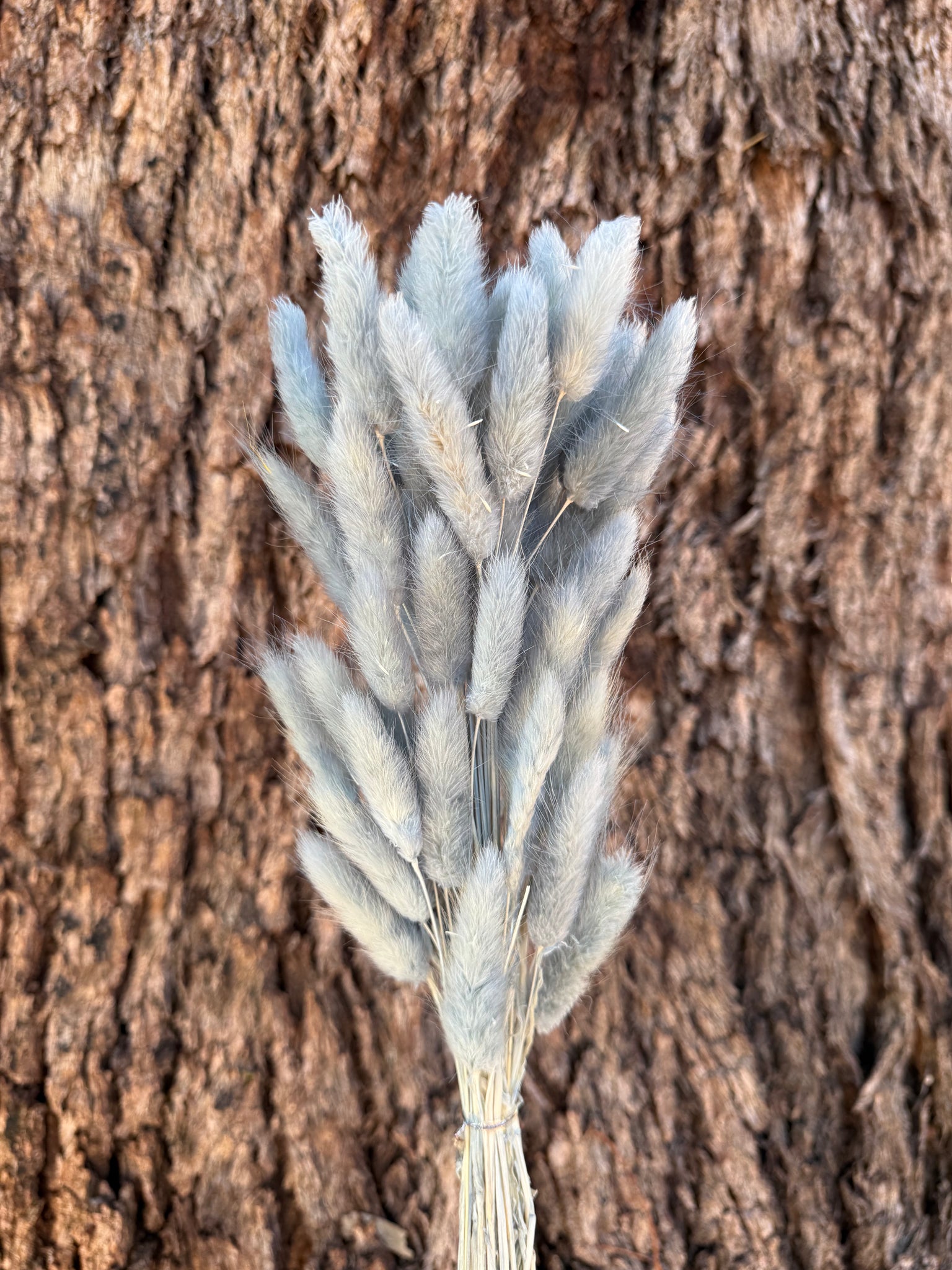 Bunny Tails/Pussy Tails - Dusty Teal Blue