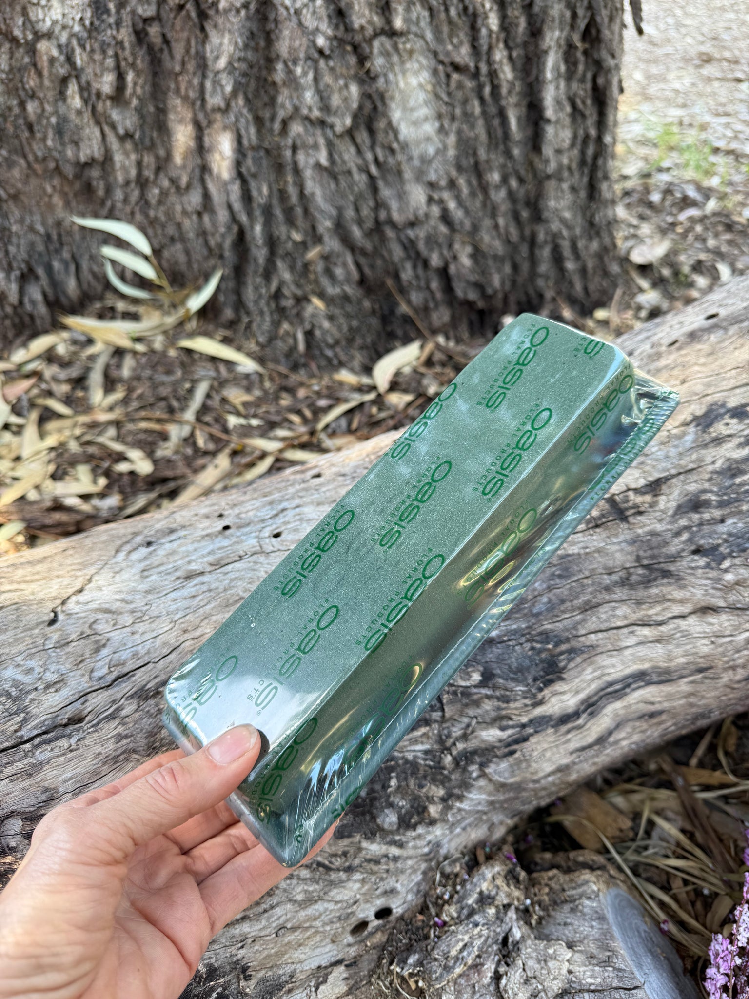 Sundries - Floral Foam Oasis table runner 25x9cm