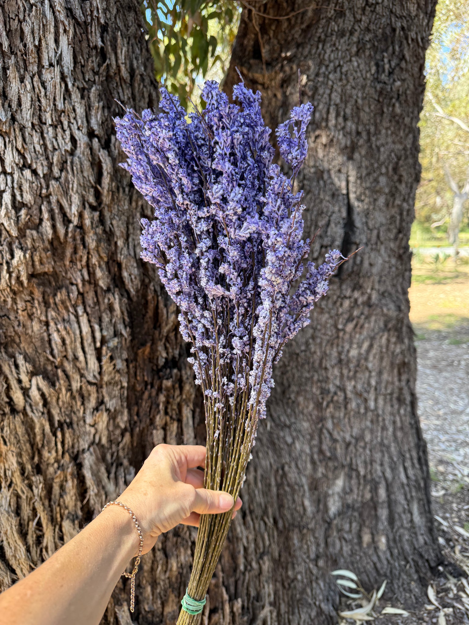 Feather Smoke - Preserved - Lilac Purple Tones