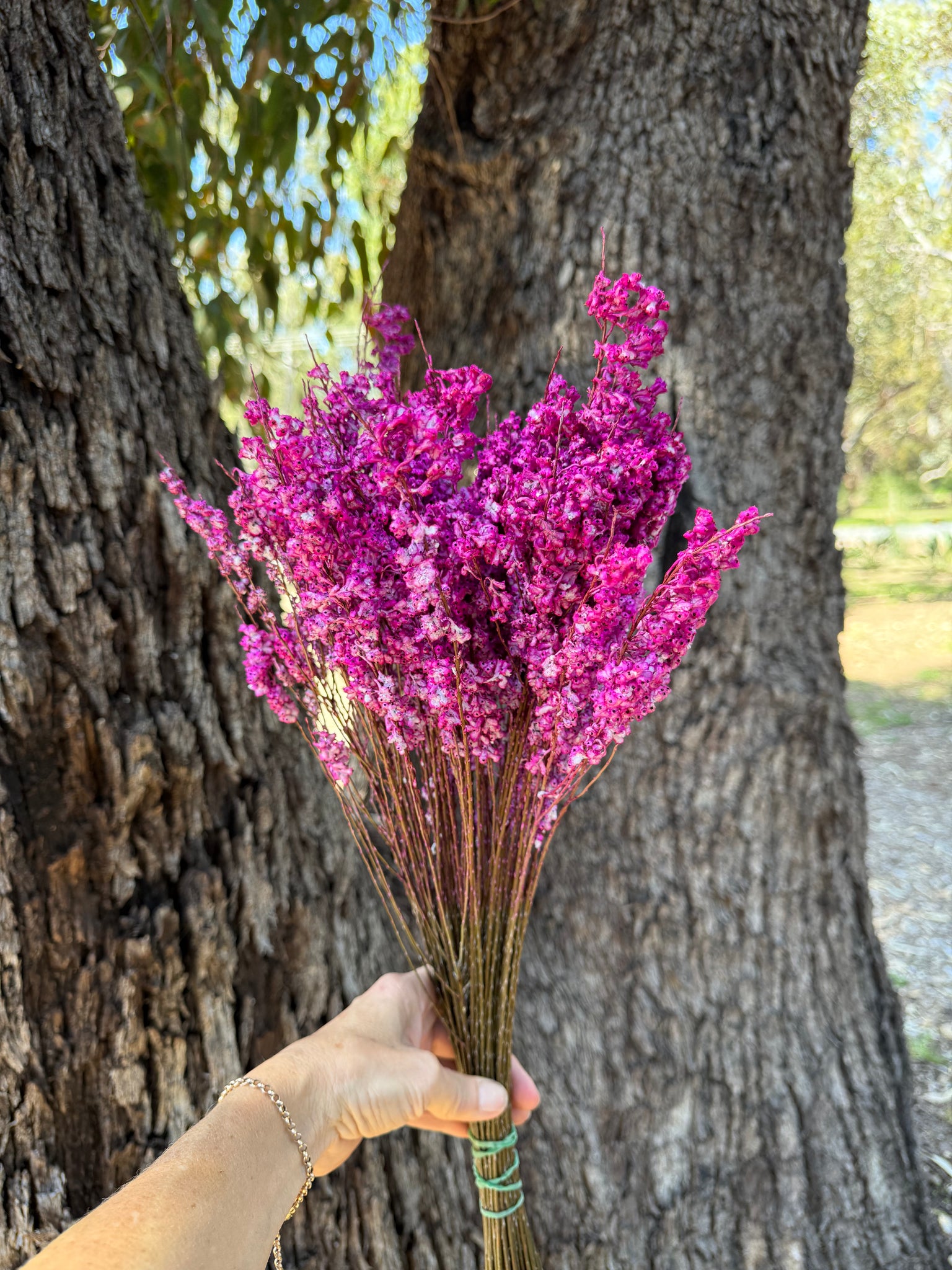 Feather Smoke - Preserved - Hot Pink