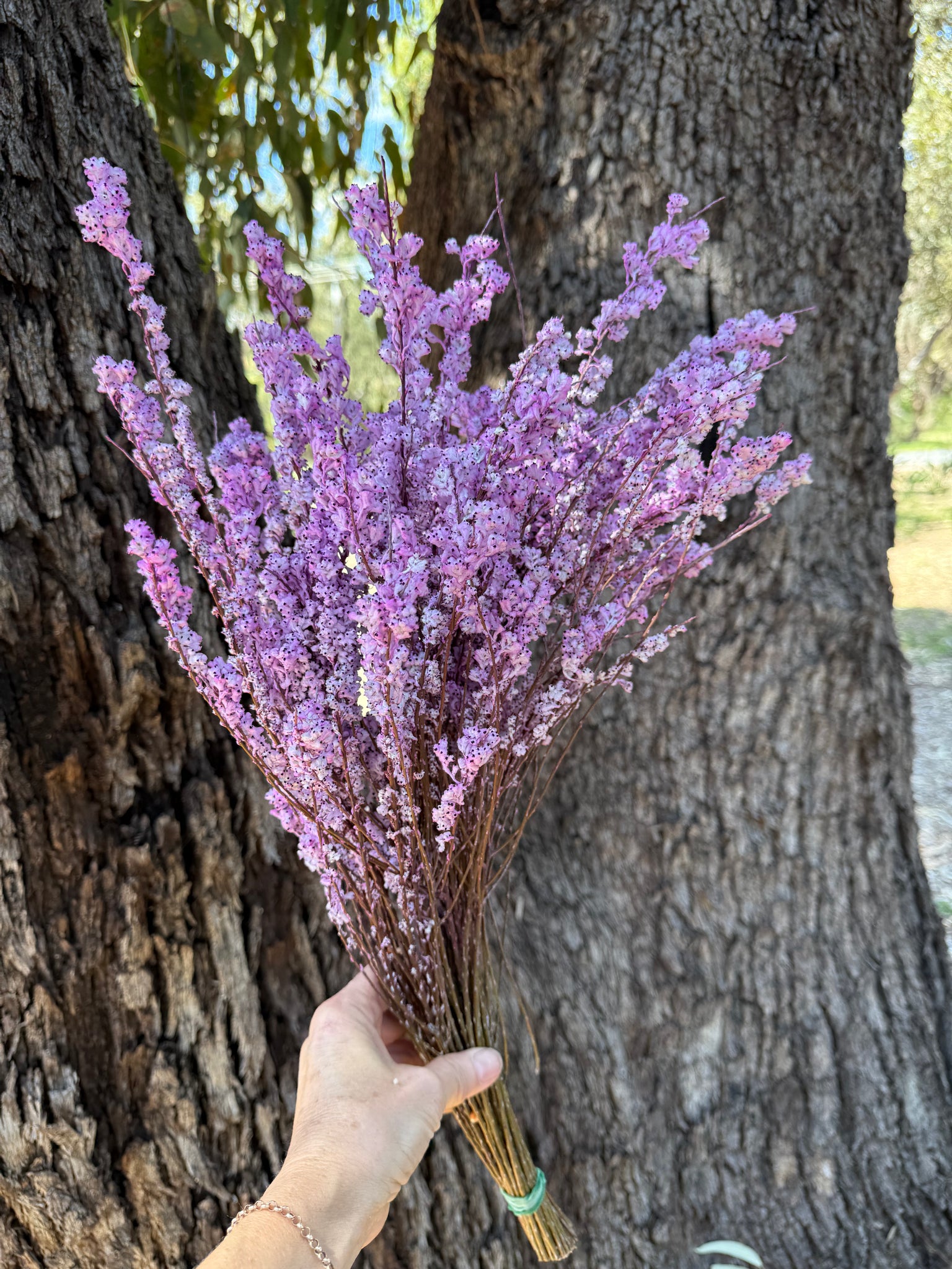 Feather Smoke - Preserved - Soft Pink