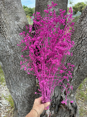 Sea Crest Wildflower - Hot pink