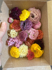 Ranunculas - air dried - box of 20 heads