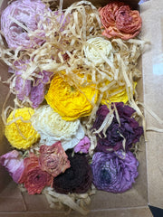 Ranunculas - air dried - box of 20 heads