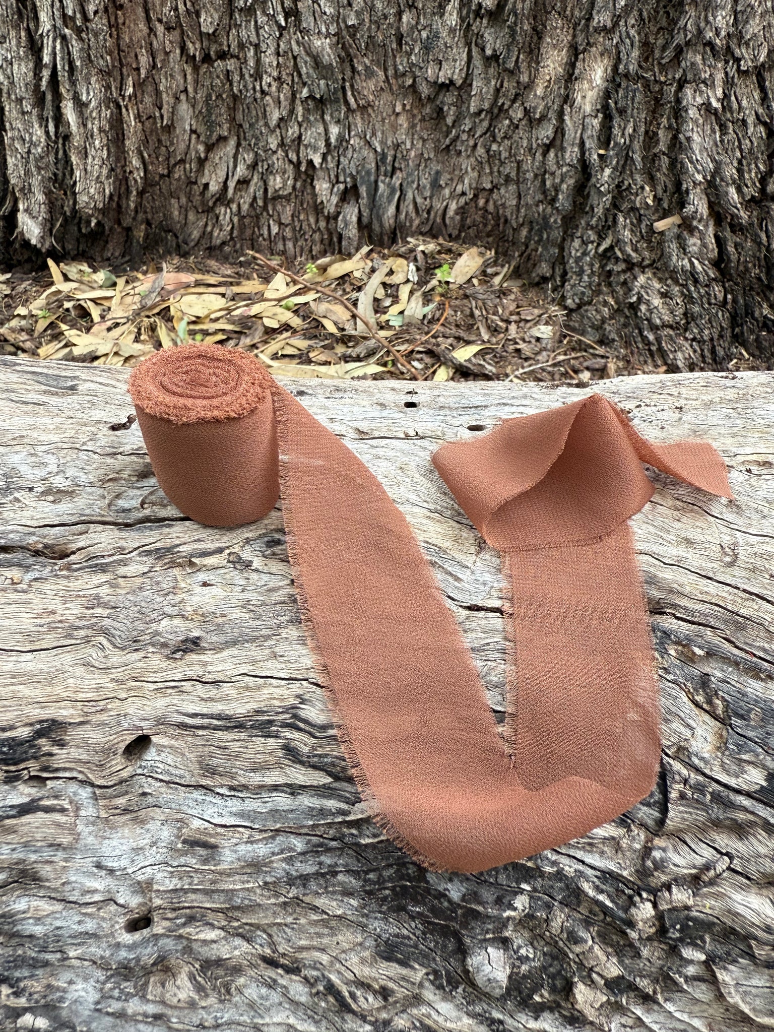 Sundries - Floral Ribbon - Chifon Silk - Chocolate Brown