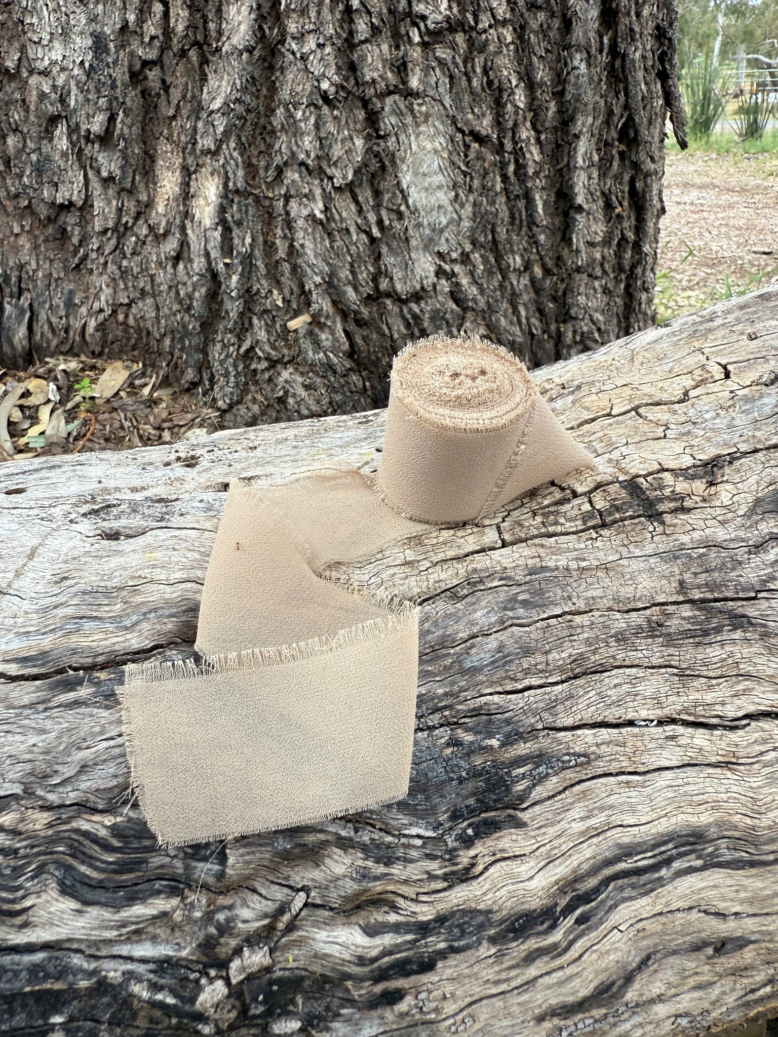 Sundries - Floral Ribbon - Chiffon Silk - Tan Beige Brown