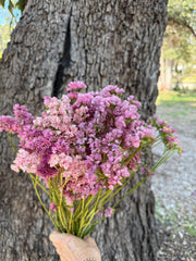 Statice - DRIED - Coral / Pink mix