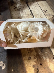 Handmade Flowers - Box of Sola Flower - Off White Lucky dip