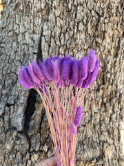 Bunny Tails/Pussy Tails - Velvet Purple