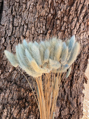 Bunny Tails/Pussy Tails - Whisper of Blue