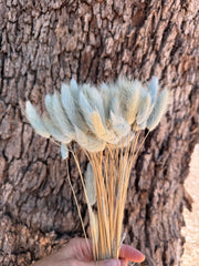 Bunny Tails/Pussy Tails - Whisper of Blue