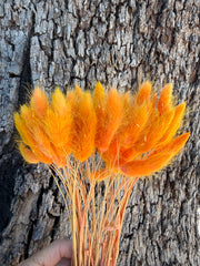 Bunny Tails/Pussy Tails - Orange Spice