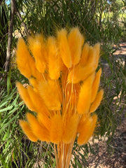 Bunny Tails/Pussy Tails - Pastel Orange