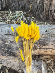 Bunny Tails/Pussy Tails -  Sunshine Yellow