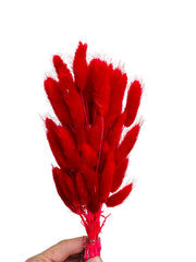 Bunny Tails/Pussy Tails -  Valentine Red