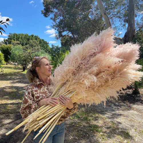 Australian Natives / Australian Grown