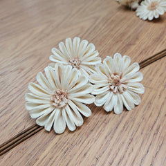 Handmade Flowers - Sola Flower - White Rounded Zinnia with Blush Pink Centre - 7cm