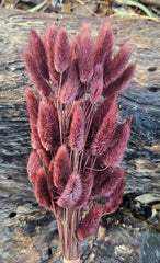 Bunny Tails/Pussy Tails - Dark Chestnut