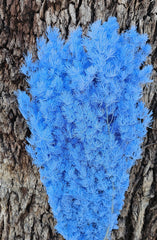 Ming Fern - Sky Blue