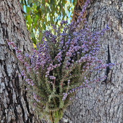 Tea Tree - Mini Course- Lilac Purple