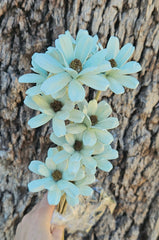 Handmade Daisies - Snow Mint Green