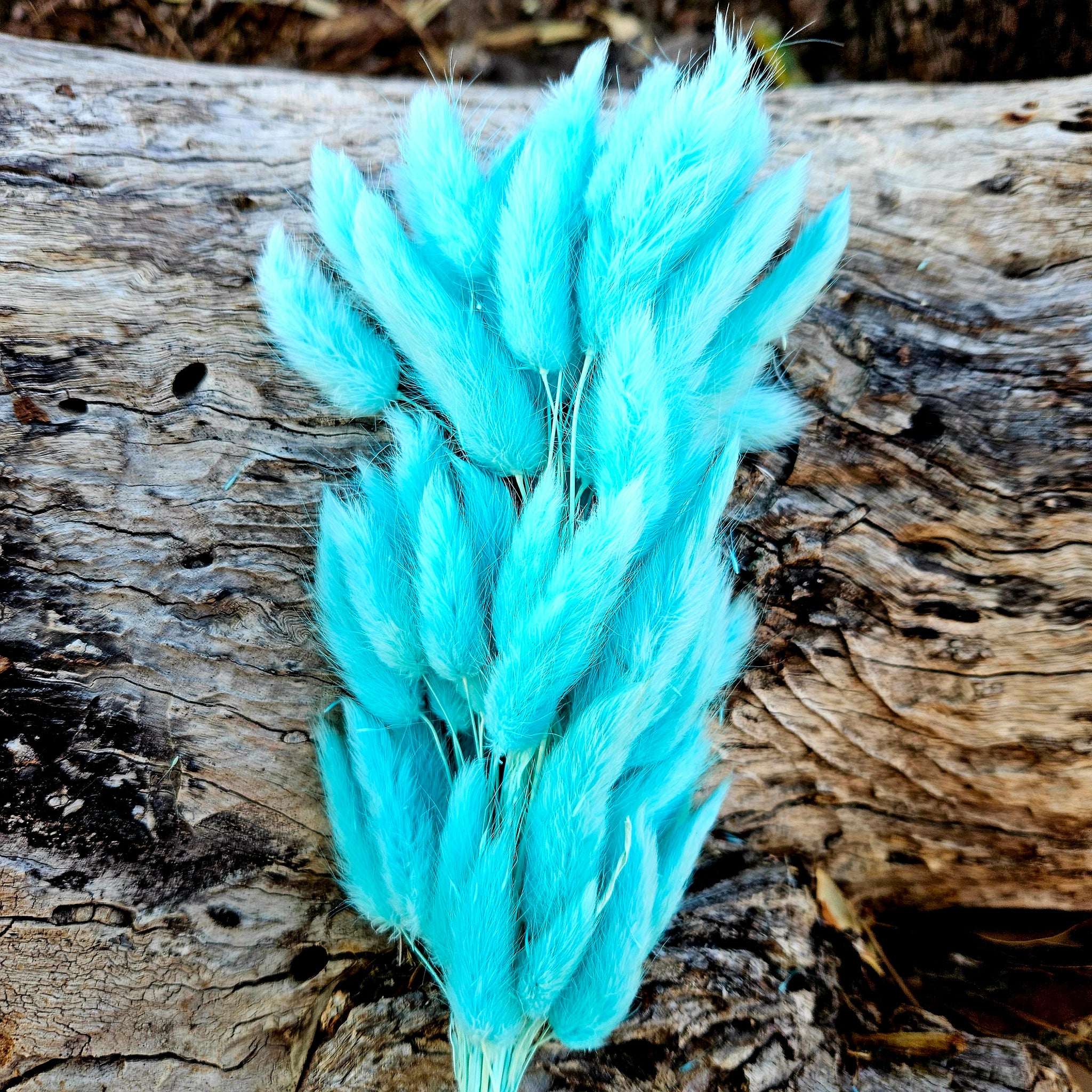 Bunny Tails/Pussy Tails - Pastel Aqua Blue