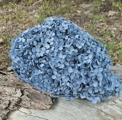 Hydrangea - Dusty Blue