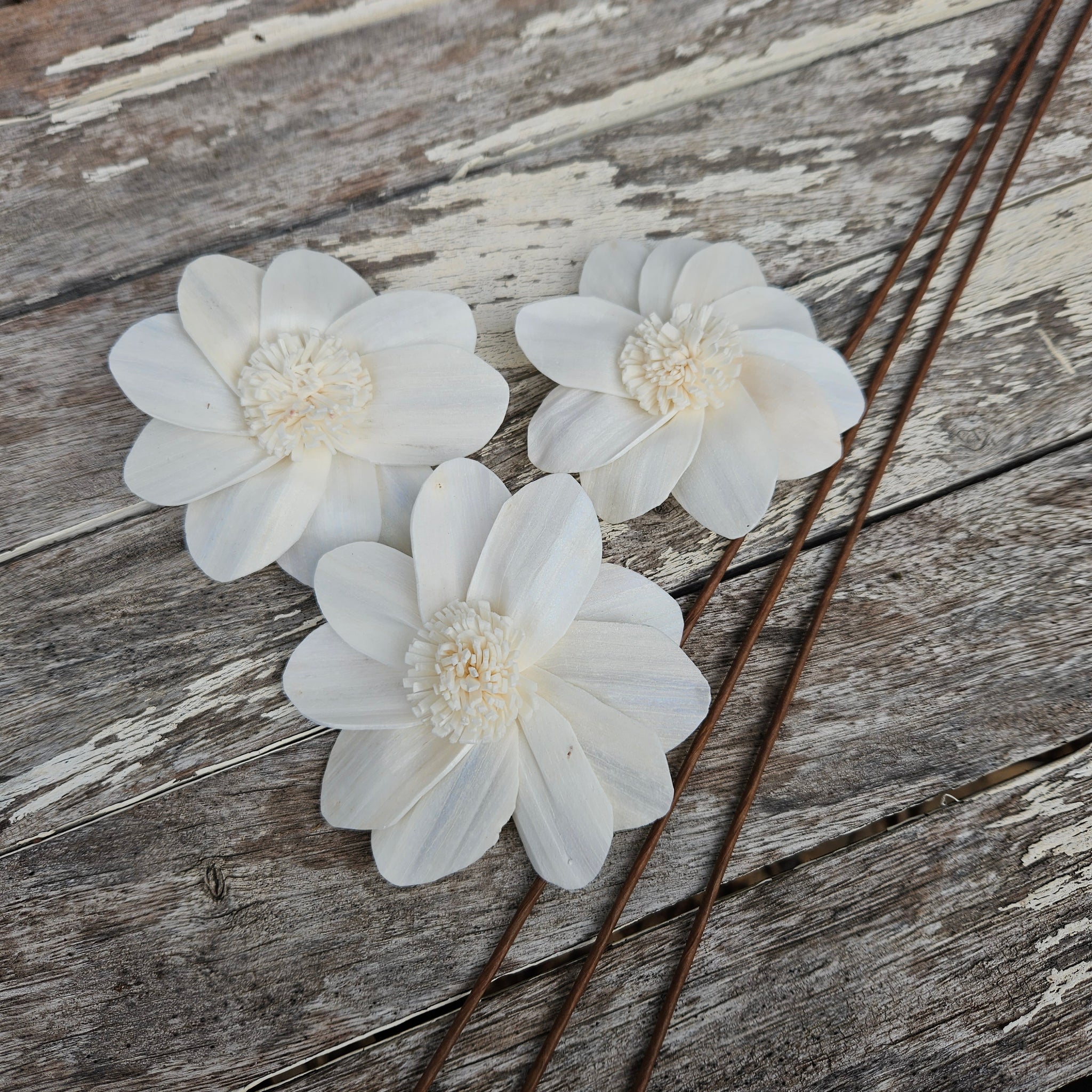 Handmade Flowers - Sola Flower White D  - 9cm