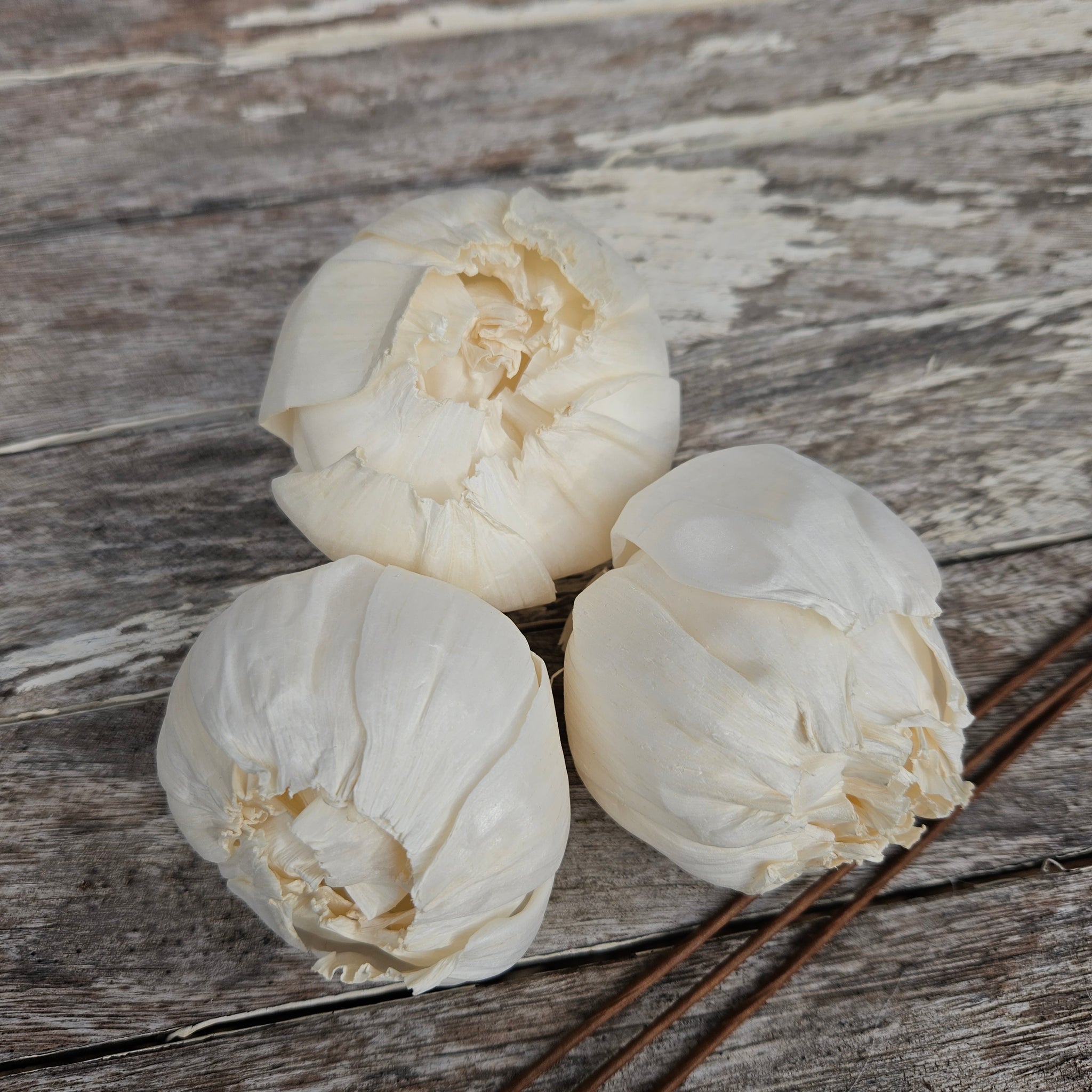 Handmade Flowers - Sola Flower - Closed Peony Bud - 7cm