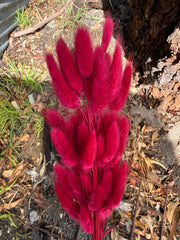Bunny Tails/Pussy Tails - Raspberry Pink