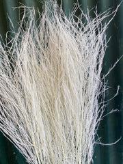 Tiki fern - White